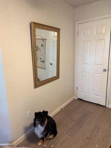 Ornate gold finish - ornate, mirror